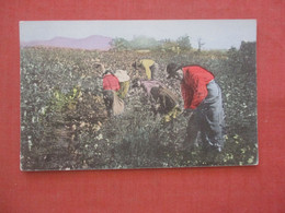 Black Americana   Picking Cotton In Alabama       Ref 4650 - Negro Americana