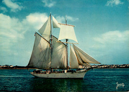 LA BELLE POULE Goëlette école Paimpolaise Construite à Fécamp * Bateau Voilier La Belle Poule - Sailing Vessels