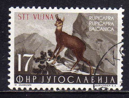 TRIESTE B 1954 FAUNA ANIMALS ANIMALI ANIMAUX GOAT RUPICAPRA 17d USATO USED OBLITERE' - Usati