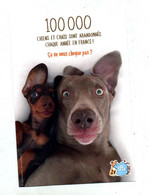 Carte Chien   Spa - Hunde