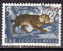 TRIESTE B 1954 FAUNA ANIMALS ANIMALI ANIMAUX LINX LYNKX LINCE 5d USATO USED OBLITERE' - Used