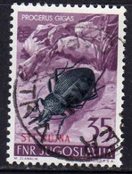 TRIESTE B 1954 FAUNA ANIMALS ANIMALI ANIMAUX PROCERUS GIGAS SCARAFAGGIO 35d USATO USED OBLITERE' - Used