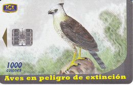 TARJETA DE COSTA RICA DE UN AGUILA CRESTADA (EAGLE) - Costa Rica