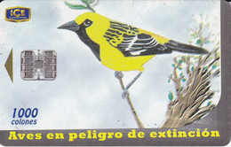 TARJETA DE COSTA RICA DE UNA CHORCHA (BIRD-PAJARO) - Costa Rica