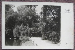 Berlin Tempelhof - Im Alten Park (FranckePark?) - Tempelhof