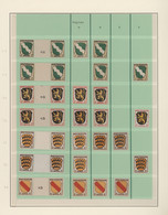 Französische Zone - Allgemeine Ausgabe: 1945/1946, Wappen 1 Pfg.-30 Pfg., Spezialsammlung Von 97 Mar - Other & Unclassified