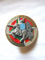 ANCIEN INSIGNE INTERARMES MULTINATIONAL GENDARMERIE LEX OPEX KOSOVO TRIDENT SHELI - Police & Gendarmerie