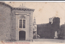 Belgique Namur Florennes Collège Saint Jean Berchmanns Entrée De Coté Précurseur - Florennes