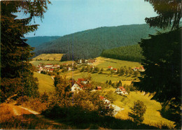 CPSM Baiersbronn Im Schwarzwald-Tonbach     L294 - Baiersbronn