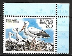 Belarus - MNH ** 2002 :   White Stork  -  Ciconia Ciconia - Cigognes & échassiers