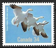 Canada - MNH ** 1986 :  Snow Goose  -  Anser Caerulescens - Gansos