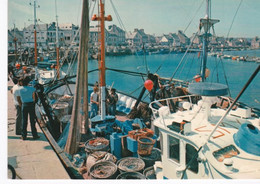 Belle Cpsm, Saint Vaast La Hougue, Le Port Et Un Cordier - Fishing Boats