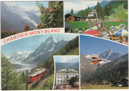 Chamonix-Mont-Blanc - TRAIN / ZUG -TÉLÉSIÈGE DES PLANARDS, Luge D'Ete, DELTA-PLANE - (Haute-Savoie, France) - Treinen