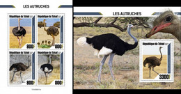 Tchad 2020, Animals, Ostrich, 4val In BF +BF - Autruches