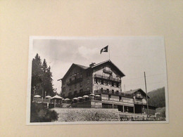 Morgins  L’hôtel De La Forêt 1933 No. 241 - Troistorrents