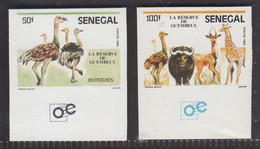 Senegal 1985, Bird, Birds, Ostriches, Imperforated, Set Of 2v, MNH** - Straussen- Und Laufvögel