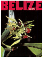 (HH 25 A) Belize Orchids Flowers (posted To Philipinnes In 1980's) With Angouti Stamp - Belize