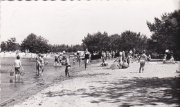 Mol (Staatsbaan Op Lommel) - Zilverstrand - Camping-Zwemmen-Roeien-Vissen - 1964 - Mol