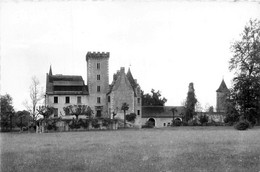 Artiguelouve * Le Château - Other & Unclassified