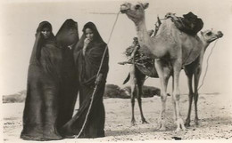 CPSM  Mauritanie Femmes Maures A La Corvée De Bois - Mauretanien