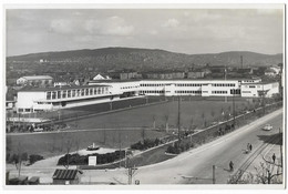 ALTSTETTEN: Foto-AK Schulhaus Kappeli, Oldtimer ~1935 - Altstetten