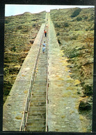 SAINTE HELENE - St. HELENA - JAMESTOWN - Jacob's Ladder, 699 Steps (carte Vierge) - Sainte-Hélène