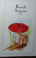 Petit Calendrier De Poche 1974 Champignon  Russule Sanguine Création Engelhard Angouleme - - Tamaño Pequeño : 1971-80