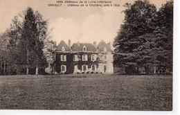 Orvault Le Château De La Cholière - Orvault
