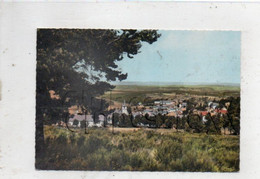 Aumont-Aubrac (48) : Vue Générale Sur Le Quartier De L'église En 1964 GF. - Aumont Aubrac