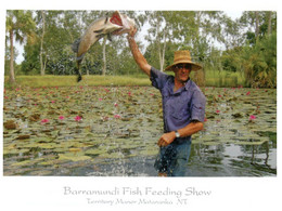 (HH 26) Australia - QLD - Fishing (for Barramundi) - Far North Queensland