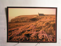 Cléden - Cap-Sizun - Bouquets D'Armeria En Fleur Devant La Chapelle St They - Cléden-Cap-Sizun