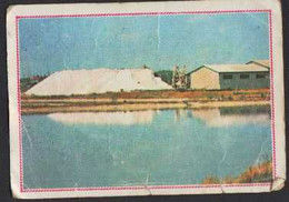 Stikers Figurine Panini Italia N°130 Saline Salt Evaporation Pond Marais Salant FAS00233 - Other & Unclassified