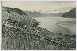 00529 - SUISSE - LAVAUX Près De RIEX Et Les Alpes - Riex