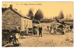 PALISEUL VILLAGE ARDENNAIS CARTE N°12 - Paliseul