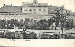 1905 - TULBING , Gute Zustand, 2 Scan - Tulln