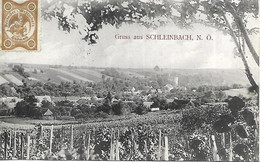 1908 - SCHLEINBACH , Gute Zustand, 2 Scan - Mistelbach