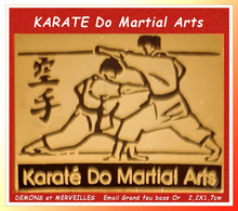 SUPER PIN'S D 'ARTS MARTIAUX : KARATE Do Martial Arts émail Grand Feu Base Or, Signé DEMONS Et MERVEILLES  2,2X1,7cm - Judo