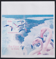 2007.690 CUBA MNH 2009 IMPERFORATED PROOF ERROR UNCUT CAYOS BIRD AVES FLAMINGO. - Geschnittene, Druckproben Und Abarten