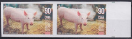 2019.191 CUBA MNH 2019 IMPERFORATED PROOF 90c ANIMALES DE CORRAL CERDOS PIG. - Ongetande, Proeven & Plaatfouten