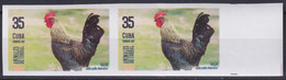 2019.195 CUBA MNH 2019 IMPERFORATED PROOF 90c ANIMALES DE CORRAL BIRD GALLO ROOSTER. - Imperforates, Proofs & Errors