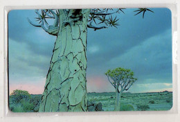NAMIBIE REF MVCARD NMB-19 N$50 KOKER BOOM TREE - Namibia