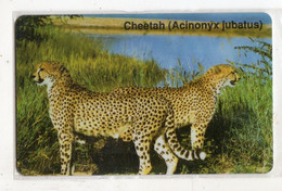 NAMIBIE REF MVCARD N$09 CHEETAH PANTHERE - Namibia