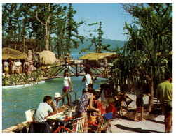 (HH 31) Australia - QLD - Daydream Island - Great Barrier Reef