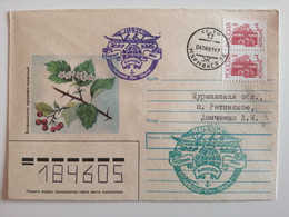 1989..USSR. COVER WITH GLUED STAMP AND SPECIAL CANCELLATION ''RUSSIA..EUGENE ALEX SMURGIS..AROUND THE WORLD'' - Programas De Investigación