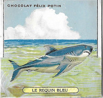 Le REQUIN BLEU - N° 1 - Chocolat Félix Pétain  - Image Illustrée  Pliable - - Animaux