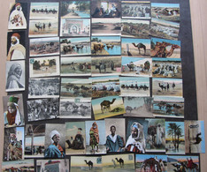 LOT De 50 CPA : TUNISIE , SCENES Et TYPES  , Vues Diverses , Beaux Plans -  Lire Descriptif - 1 Scan - Túnez