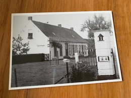 Beernem - Hoeve 't Groot Kerkegoed In De Hooistraat - Beernem