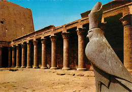 CPSM Egypt-Edfou    L292 - Edfu