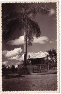 Photo 14 X 8.5 Cm - Au Dos Légende "Petite Pagode" Sans Précision De Lieu - Budismo