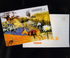 Botswana 2000 Postal Card Postcard Wetlands River Wildlife Africa Animals Nature Bird Elephant Fauna Birds River Mammals - Botswana
